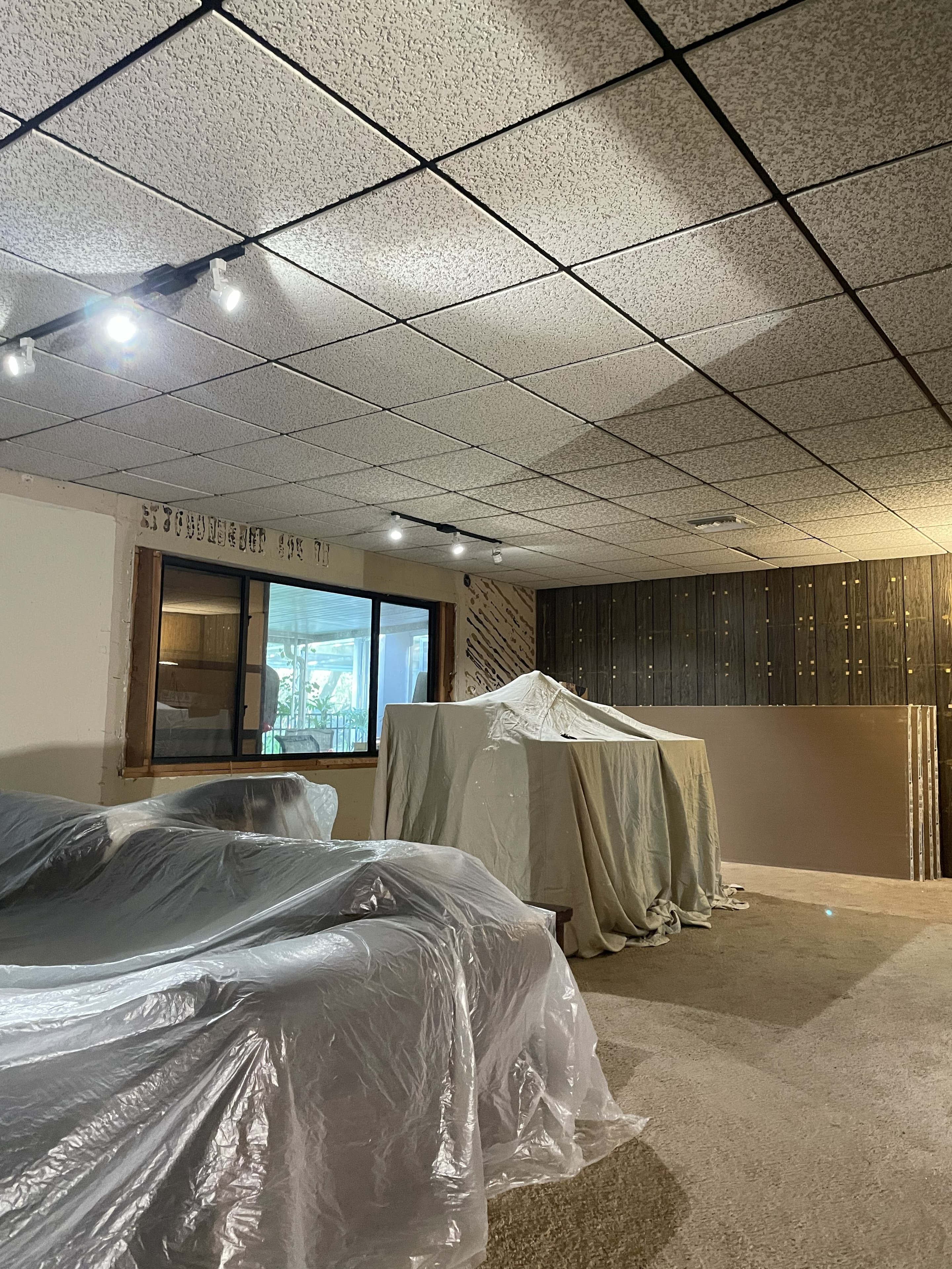 Drop Ceiling Removal — Before
