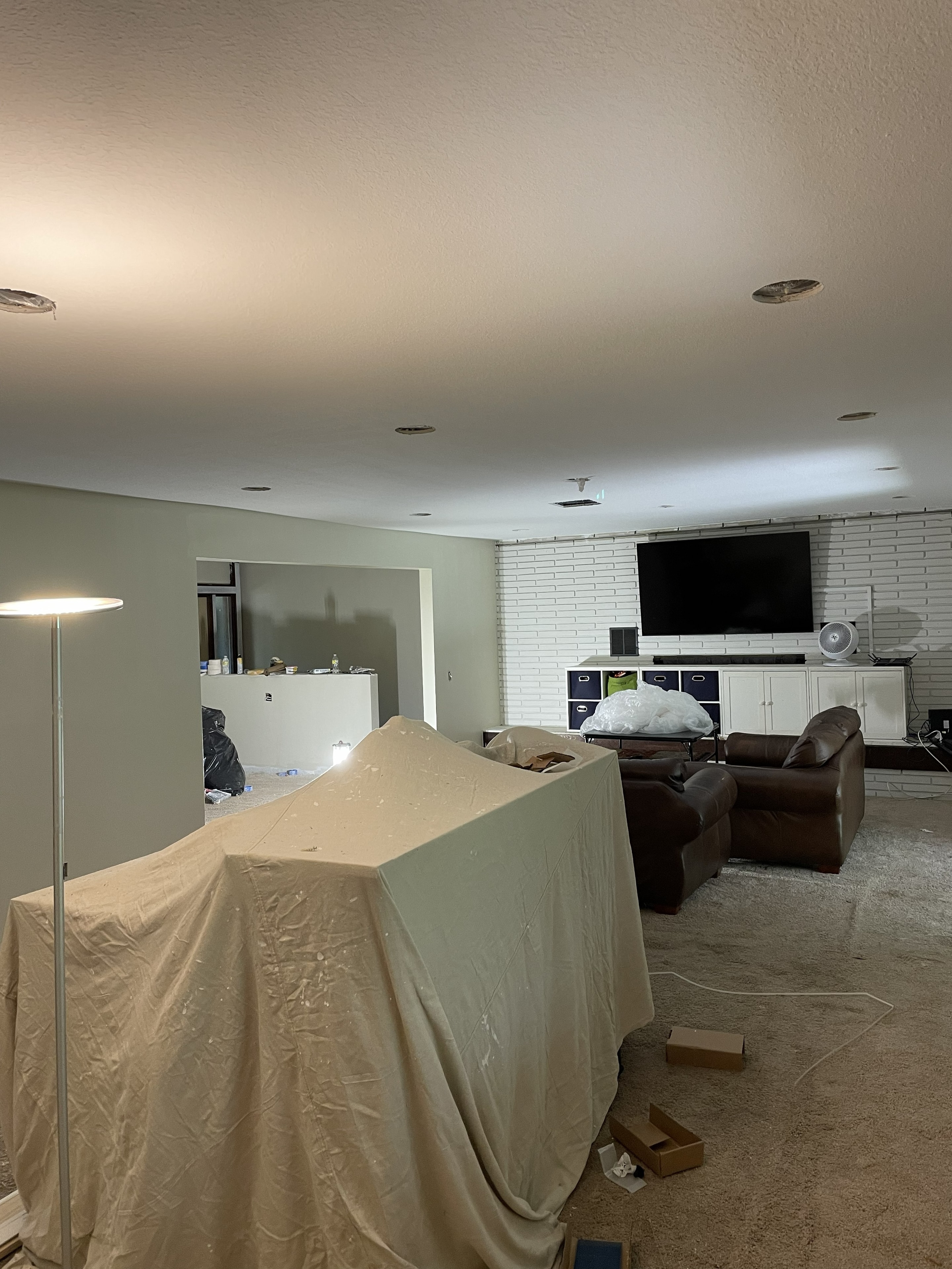 Drop Ceiling Removal — In Progress